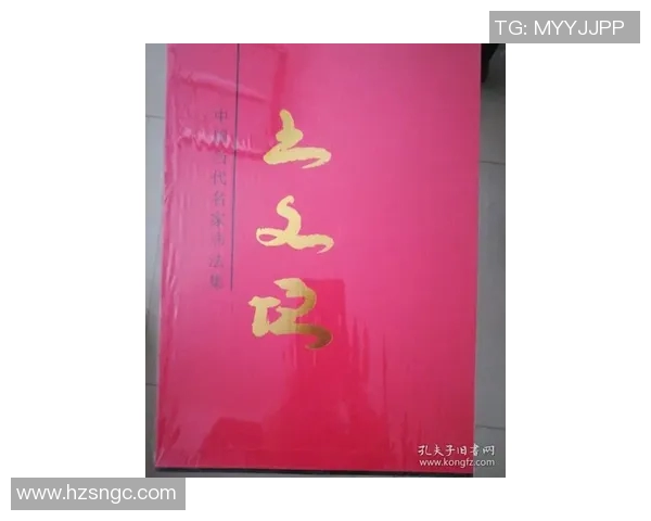 赵芳的网球人生深度对话探索她的奋斗与梦想之路