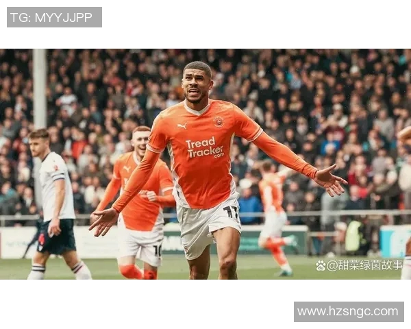 英甲焦点战布莱克浦迎战查尔顿双方争夺关键三分之战分析 英甲焦点战布莱克浦迎战查尔顿双方争夺关键三分之战分析