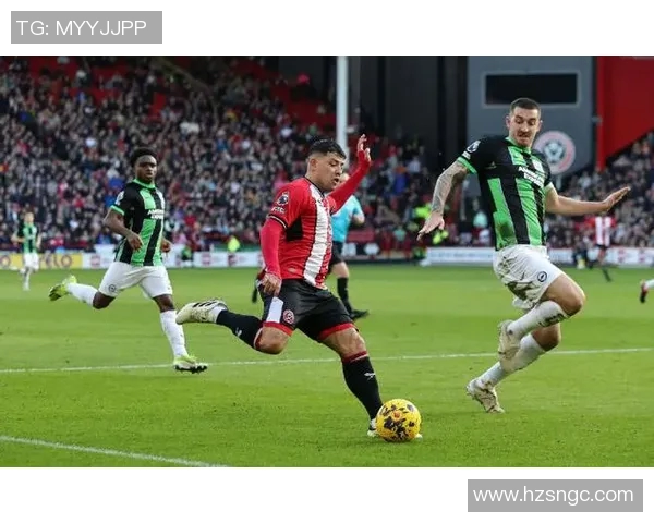 布莱顿主场迎战谢菲尔德联队期待精彩对决与激烈竞争