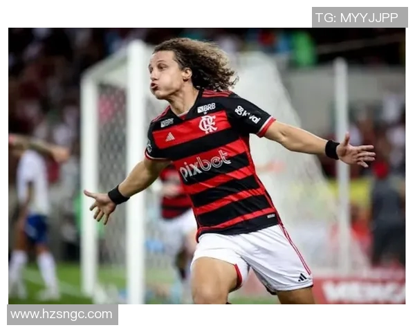 弗拉门戈与巴伊亚对决前瞻分析及赛前预测展望