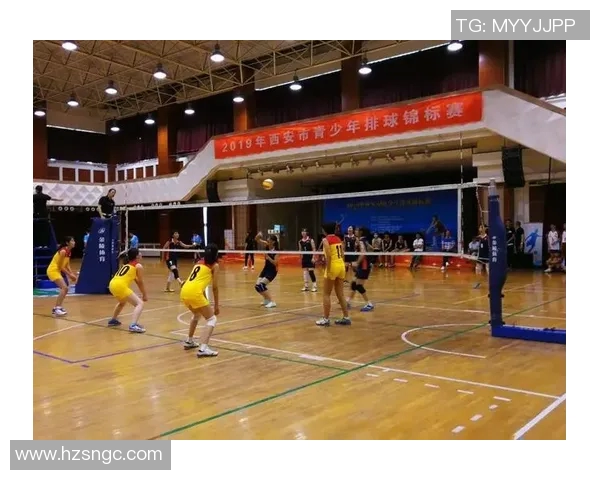 独家深度解析西安排球队实力对比与战术布局全景分析